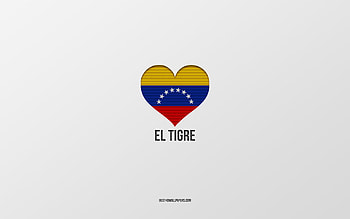 I Love El Tigre, Colombian cities, Day of El Tigre, gray background, El Tigre, Colombia, Colombian flag heart, favorite cities, Love El Tigre HD wallpaper