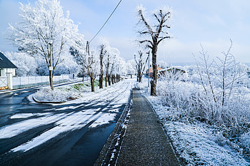 Winter, Nature, Snow, City, Road, Street HD wallpaper