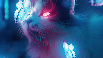 Cat Bladerunner Art , cyberpunk, cat, artist, artwork, digital-art, artstation HD wallpaper