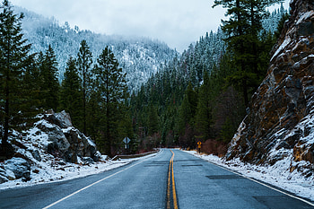 Winter, Nature, Snow, Road, Forest HD wallpaper