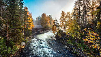 Autumn River, river, nature, Autumn, tree HD wallpaper