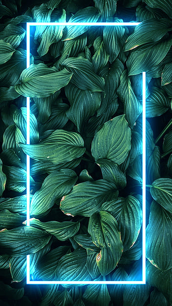 Neon leaves glowing, electric blue, vibrant, droplets, line, cool, nice looking, epic, clean, leaf, spiderman, christmas, no way home, naruto, aqua, blue, desaturated, nwh HD phone wallpaper