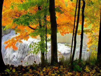 Autumn water stream, river, leaves, fall, colors, waterfall, beautiful, nature, water stream HD wallpaper