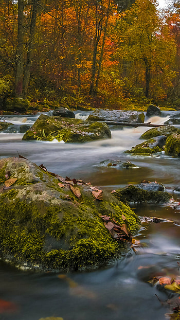 U river , nature , High-definition river, able beauty HD phone wallpaper