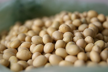 Homemade soy milk, Nutritious beverage, Non-dairy alternative, Easy recipe HD wallpaper