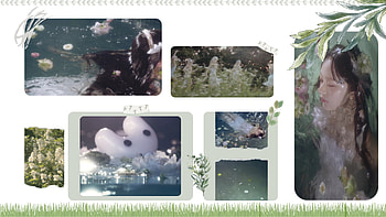 HANNI - SPRING - THEME HD wallpaper