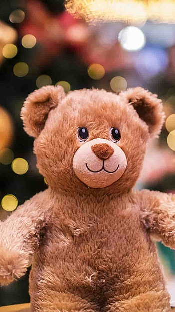 Teddy Bear Ke, Cute, Smile HD phone wallpaper
