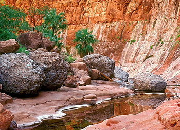 Cliff, palms, nature, rocks HD wallpaper