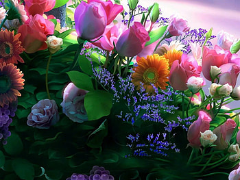 Spring Bouquet, flowers, roses, tulips, pretty HD wallpaper