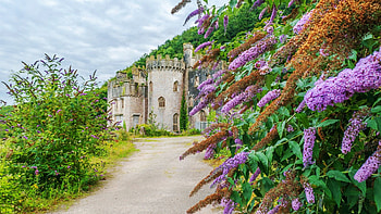 Grych Castle, Wales, UK, summer, blossoms, clouds, building, medieval, sky, road, flowers, hills HD wallpaper