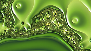 Trippy Psychedelic Fractal, trippy, psychedelic, aesthetic, Abstract, fractal HD wallpaper