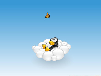 Pinguins HD wallpaper