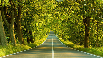 3D Nature Nature ... HD wallpaper