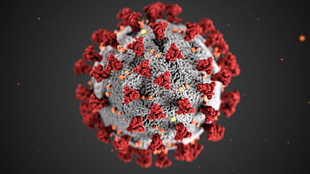 Detailed illustration of coronavirus structure with red spike proteins. HD wallpaper