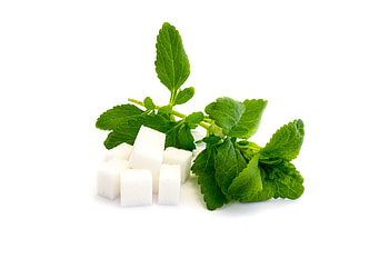 Healing herb, Stevia uses, Honey leaf, Natural remedies HD wallpaper