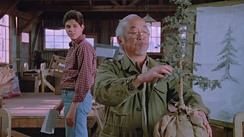 The Karate Kid Part III, Blu-ray review HD wallpaper