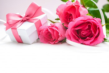Roses, rose, petals, pink roses, flowers HD wallpaper