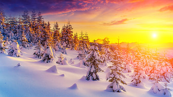 Winter Morning Light, sunshine, winter, morning, Firefox Persona theme, sunrise, snow, trees, mountains, forest HD wallpaper