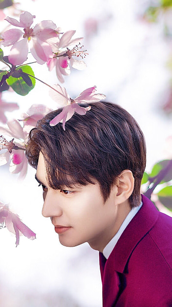 Park Shin-hye, Lee Min-ho, , Fan-posted HD phone wallpaper