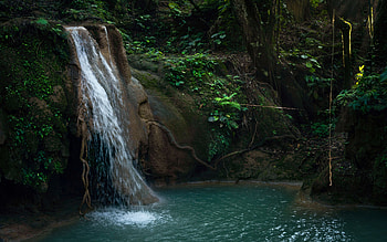 A Single Spider Web at Agua Azules, Mexico, trees, river, plants, pond, rocks HD wallpaper