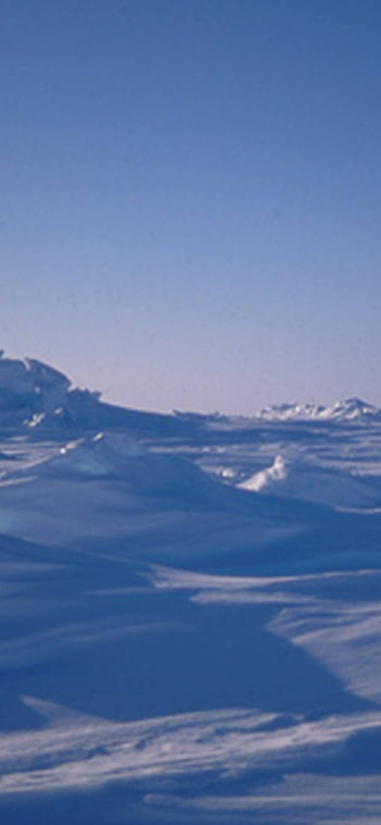 Arctic travels, Arctic , Posted by John Thompson HD phone wallpaper