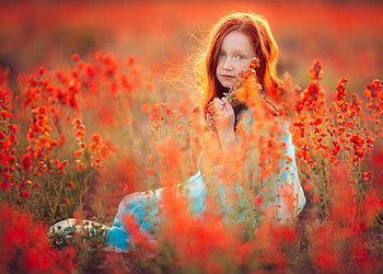 Little Princess, girl, flowers field, field, with love, face, nature, flowers, splendor, child HD wallpaper