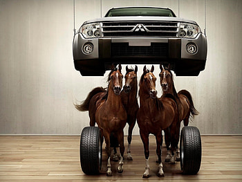 Transport, Animals, Auto, Horses HD wallpaper