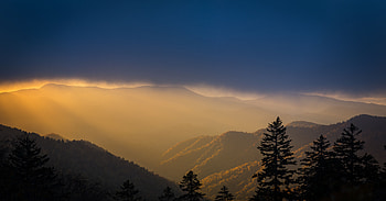 Nature, Trees, Mountains, Clouds, Vertex, Fog, Tops HD wallpaper