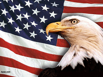 eagle supports america, america, eagle, sharpeyes, sharpbeaks HD wallpaper
