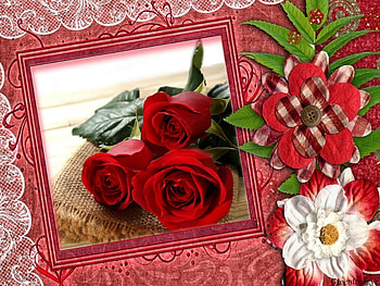 RED ROSES, ROSES, FRAMED, , RED HD wallpaper