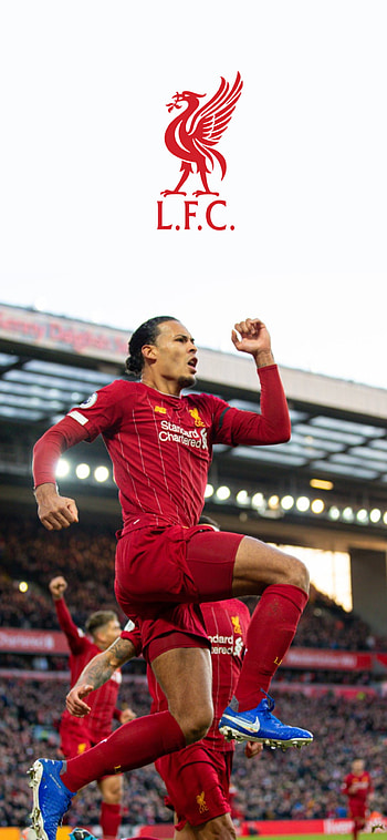 Liverpool, lfc, Van dijk, premier league HD phone wallpaper