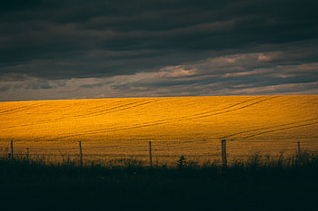 Landscape, Nature, Clouds, Dark, Field, Hill HD wallpaper