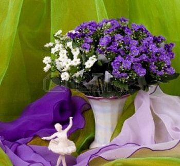 beautiful spring flowers, still life, glass vase, flowers, spring HD wallpaper