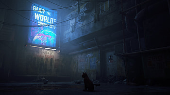 Stray game, , Captivating backgrounds, Artistic visuals HD wallpaper