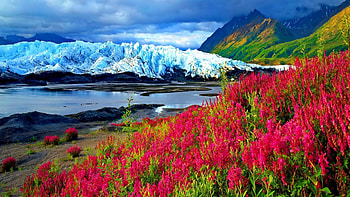 Spring Mountain, snowy, slope, spring, mountain, lake, pink, red, nature, flowers, sky HD wallpaper