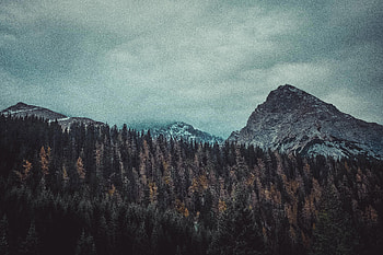 Trees And Mountains , trees, mountains, nature HD wallpaper
