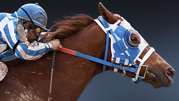 Secretariat, , Background , Race horse HD wallpaper