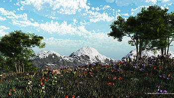 gorgeous spring in the valley, scenic, landscape, gorgeous, view, beautiful HD wallpaper