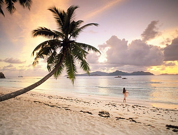 Shores of Paradise , nature, landscaps, beach HD wallpaper