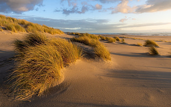 Beach, clouds, grass, sand, sea HD wallpaper