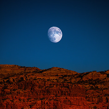 Full moon, night, nature HD phone wallpaper