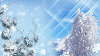 Sparkle Tag - Sky Winter Cold Bright Leaves Trees Blue ze Sparkle Stars Snowing World Snow HD wallpaper