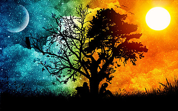 Night and Day, night, colorful, day, moon, contrast, sun, tree HD wallpaper