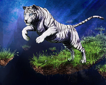 Tiger Leap, white, tiger, art, grass, leaping HD wallpaper