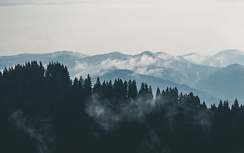 A scenic view of misty mountains and dense forest, perfect for nature lovers. HD wallpaper