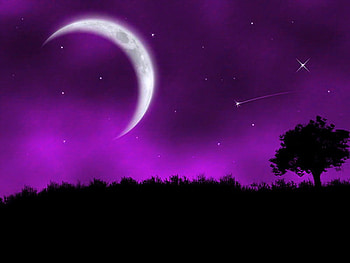 Purple, mist, night, moon, stars, tree HD wallpaper
