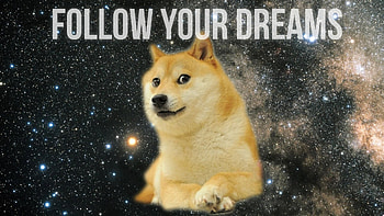 Doge meme - HD wallpaper