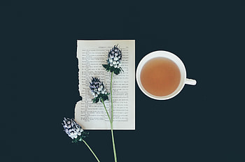 Flowers, Miscellanea, Miscellaneous, Cup, Page HD wallpaper