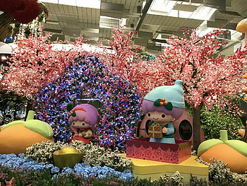 Singapore Changi International Airport, Social tree attraction, Ticket information, Transportation details HD wallpaper