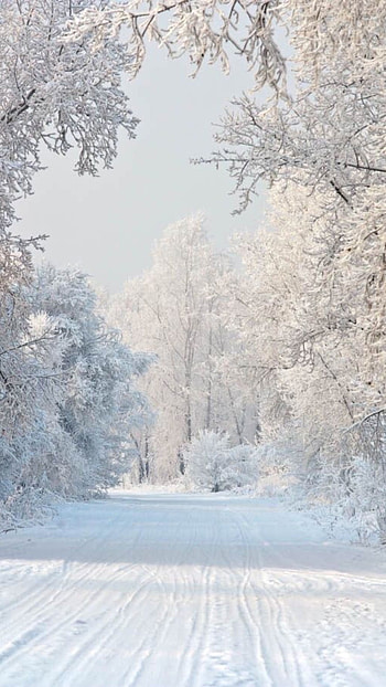 Snow, Snowy HD phone wallpaper